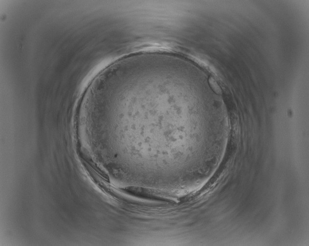 X0000070191375200605261147