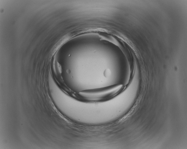 X0000070191377200605261147