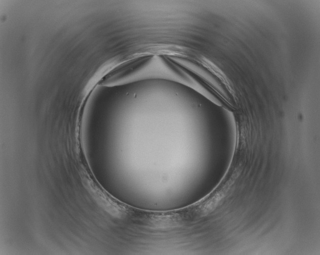 X0000070191378200605261147