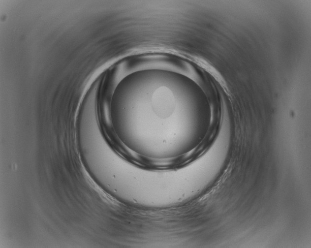 X0000070191380200605261147