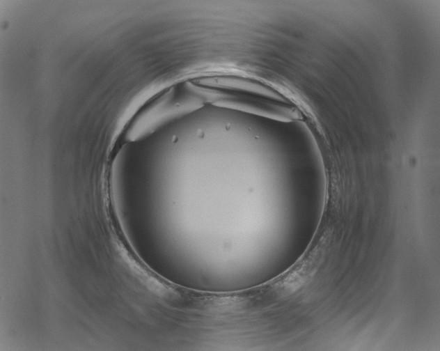 X0000070191382200605261147