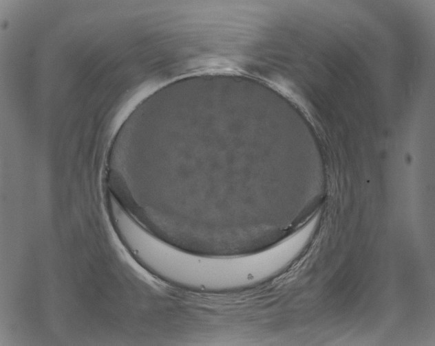 X0000070191383200605261147