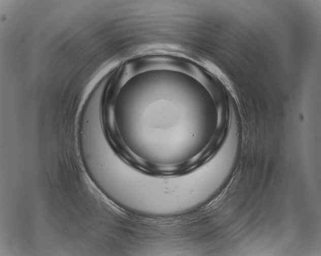 X0000070191384200605261147