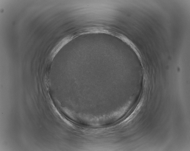 X0000070191385200605261147