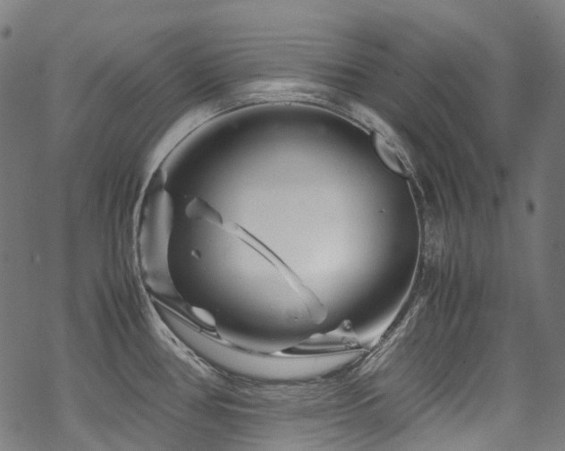 X0000070191386200605261147