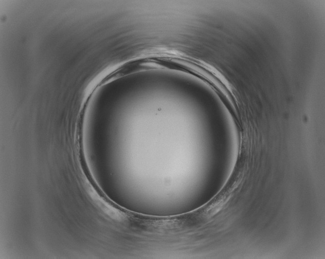 X0000070191387200605261147