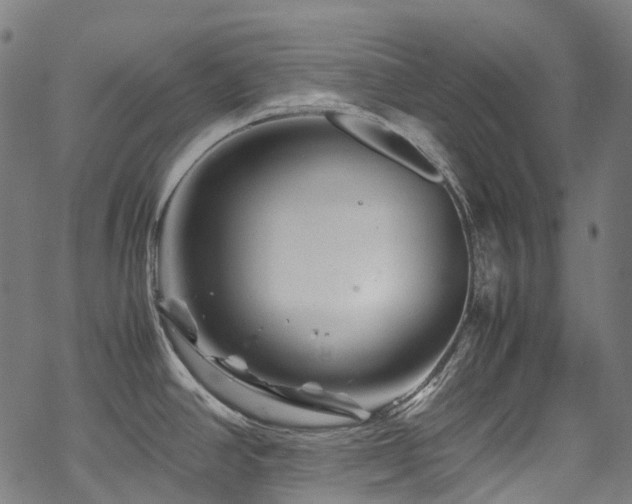 X0000070191390200605261146