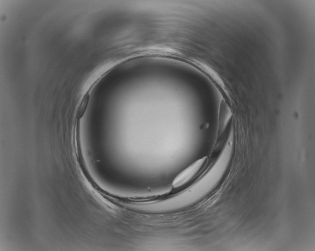 X0000070191391200605261146