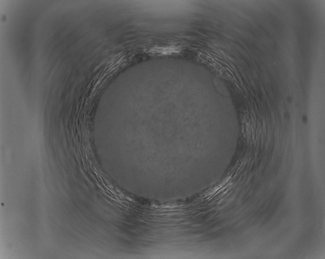 X0000070191393200605261146