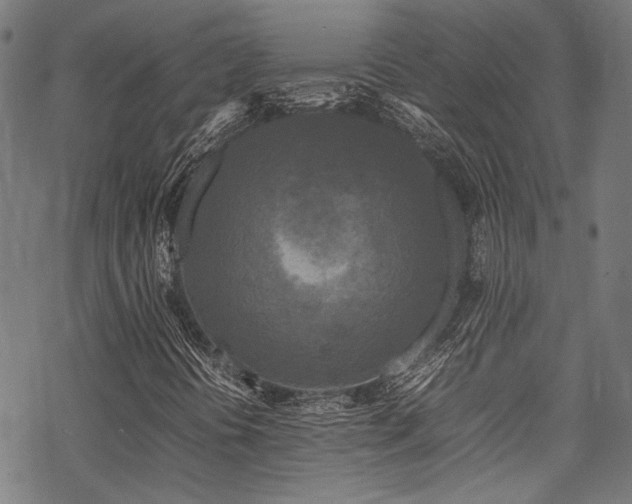 X0000070191394200605261146