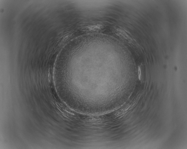 X0000070191395200605261146