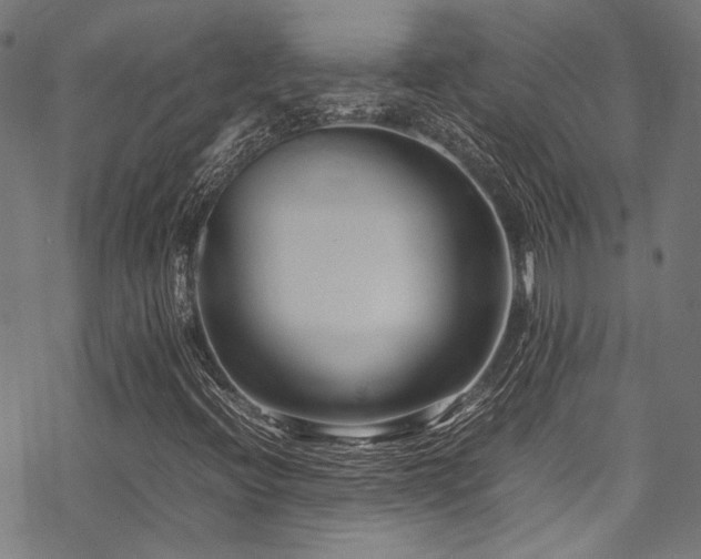 X0000070191396200605261146