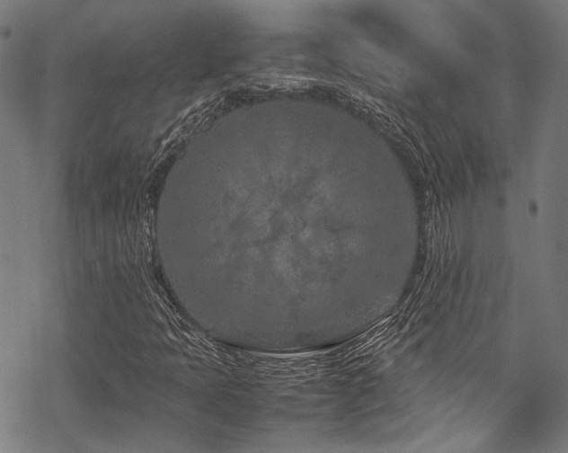 X0000070191397200605261146