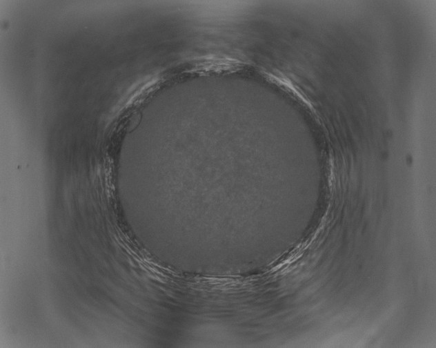 X0000070191399200605261146