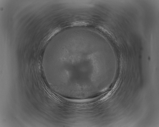 X0000070191401200605261146