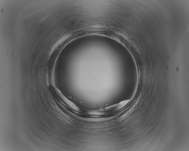 X0000070191402200605261146