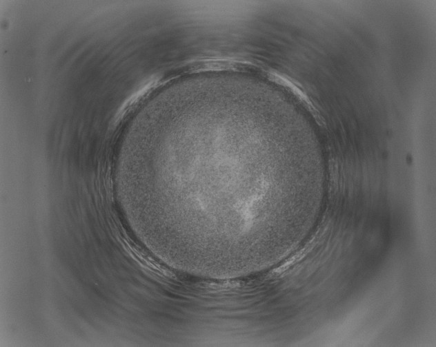 X0000070191403200605261146