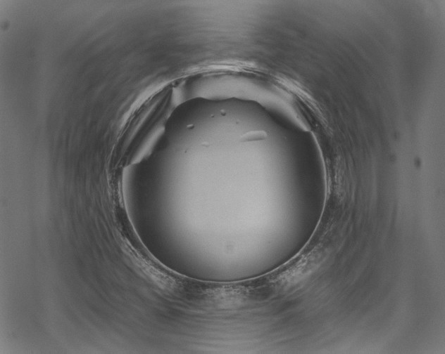 X0000070191404200605261146