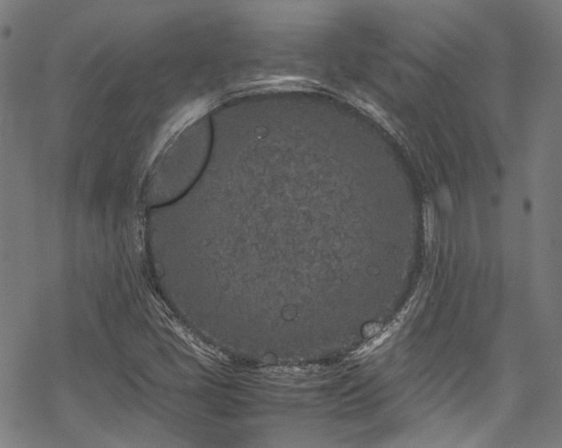 X0000070191405200605261146