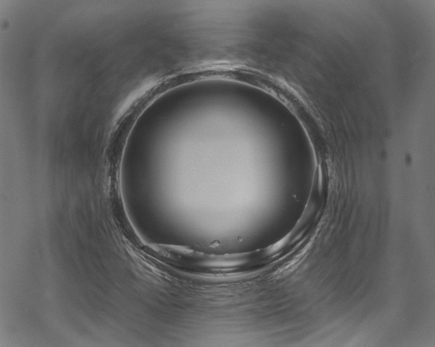 X0000070191406200605261146