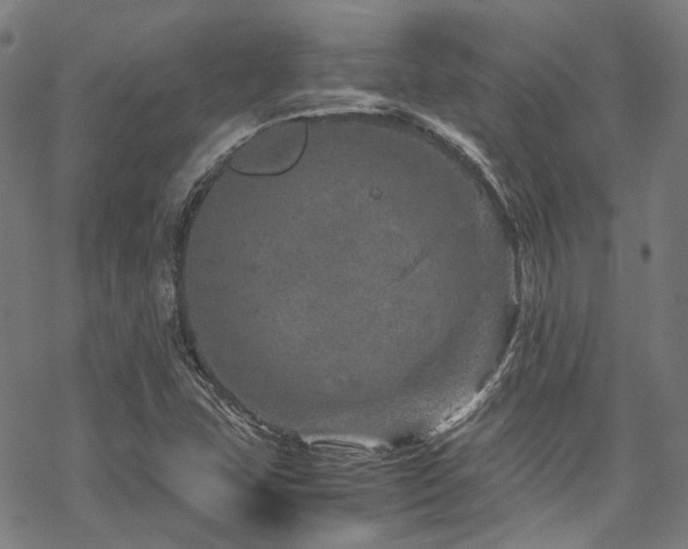 X0000070191407200605261146