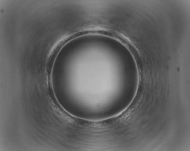 X0000070191408200605261146