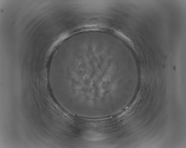 X0000070191411200605261146