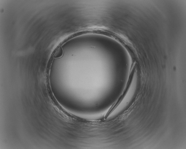 X0000070191412200605261146