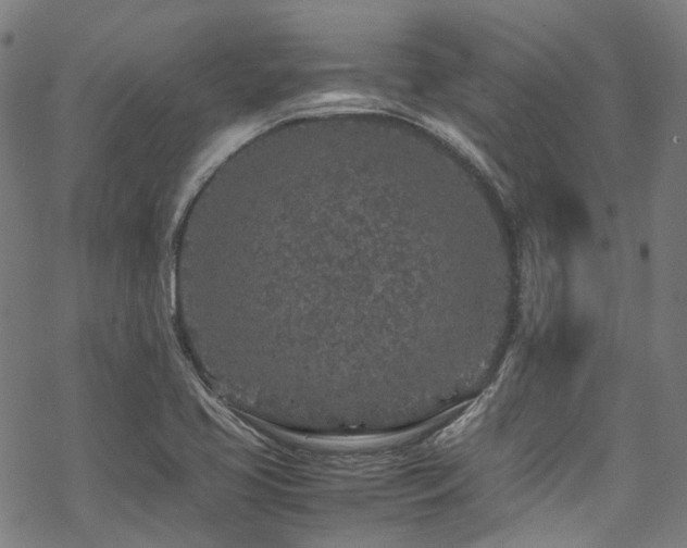 X0000070191413200605261146