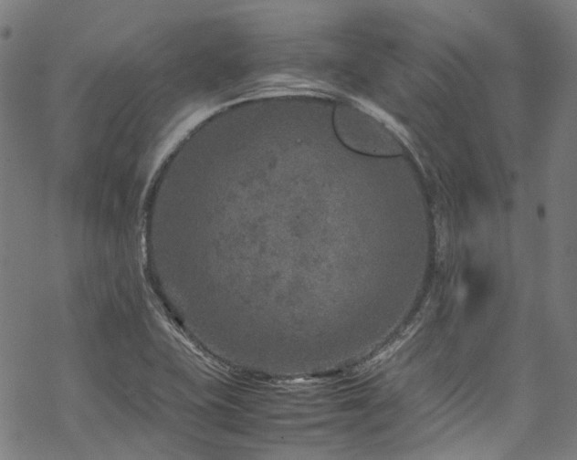 X0000070191415200605261146