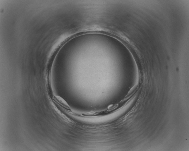 X0000070191416200605261146