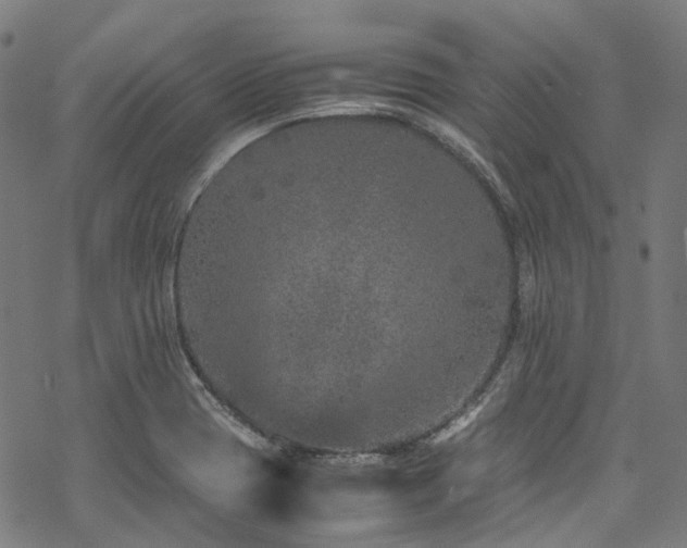 X0000070191417200605261146