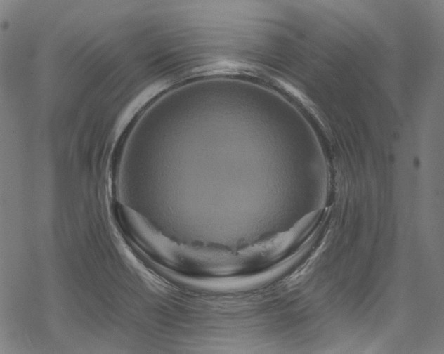 X0000070191418200605261146