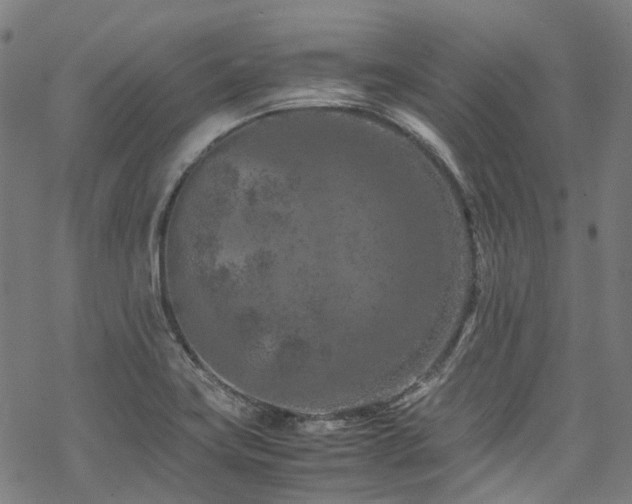 X0000070191419200605261146