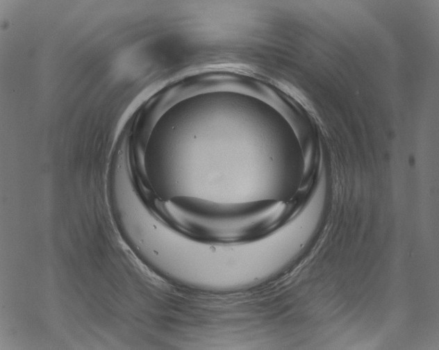 X0000070191420200605261146