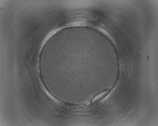 X0000070191421200605261146