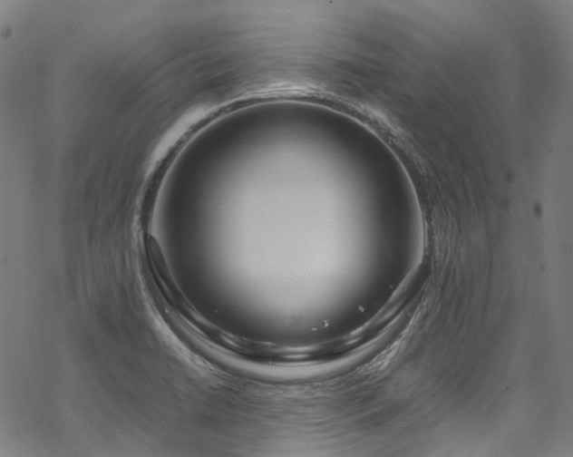 X0000070191422200605261146