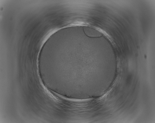 X0000070191423200605261146