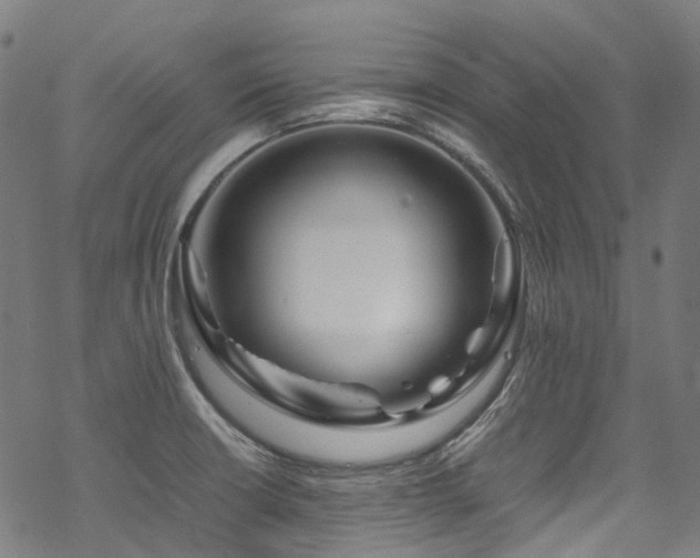 X0000070191426200605261146