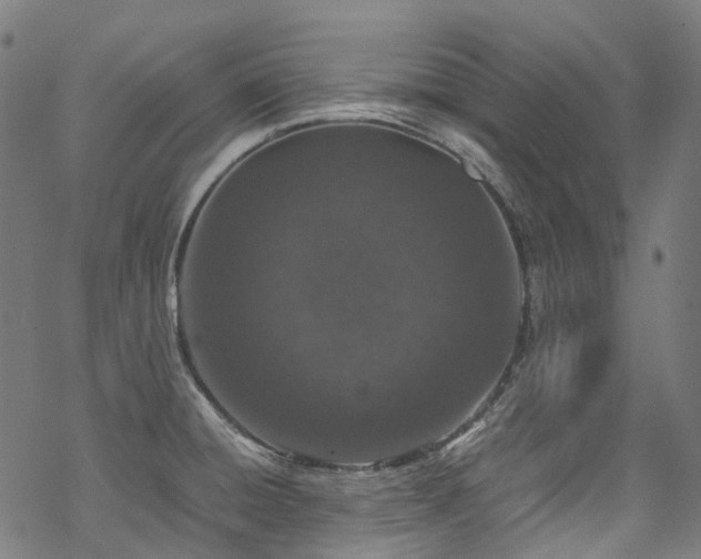 X0000070191428200605261146