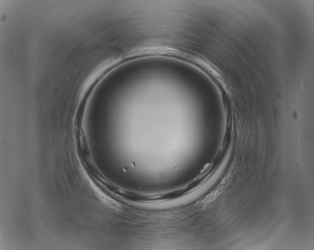 X0000070191430200605261146