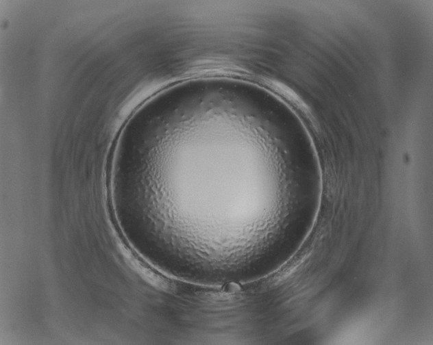 X0000070191431200605261146