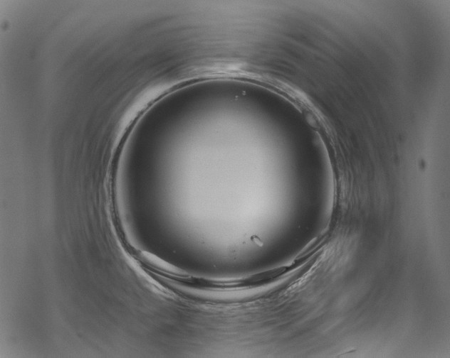 X0000070191432200605261146