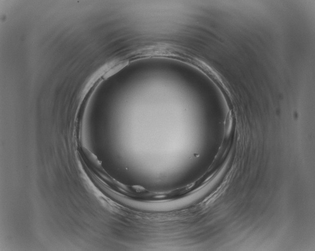 X0000070191434200605261146