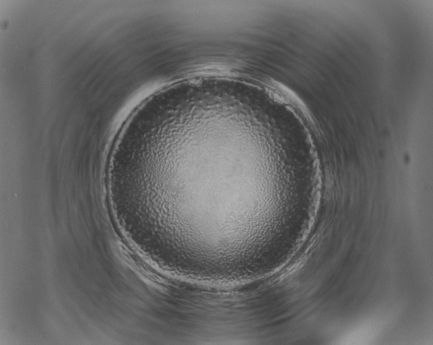 X0000070191435200605261146