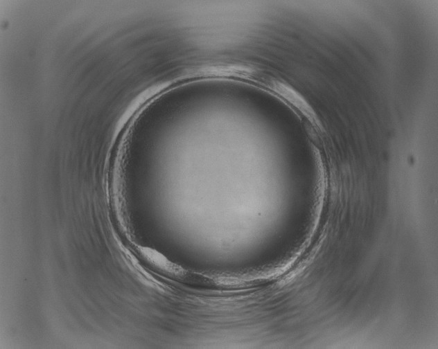 X0000070191436200605261146