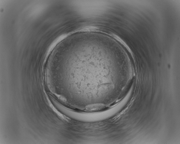 X0000070191437200605261146