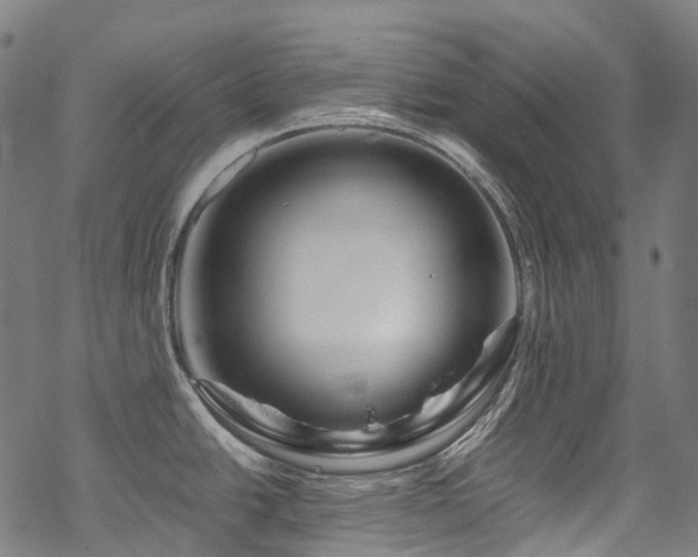 X0000070191438200605261146