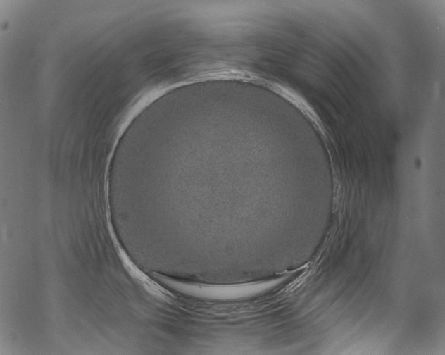 X0000070191439200605261146