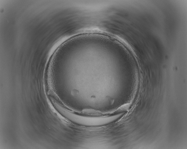 X0000070191440200605261146